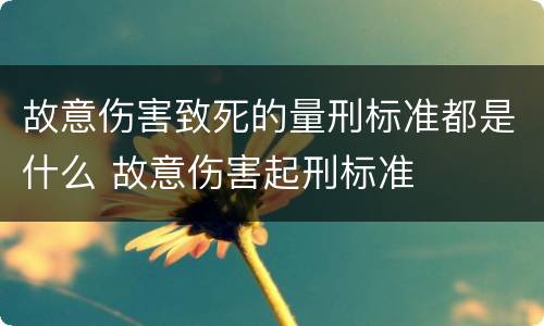 故意伤害致死的量刑标准都是什么 故意伤害起刑标准