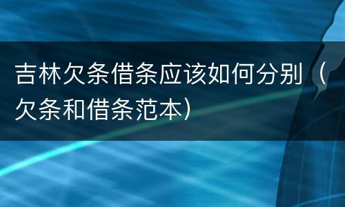 吉林欠条借条应该如何分别（欠条和借条范本）