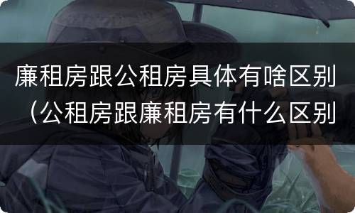 廉租房跟公租房具体有啥区别（公租房跟廉租房有什么区别）