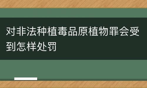 对非法种植毒品原植物罪会受到怎样处罚