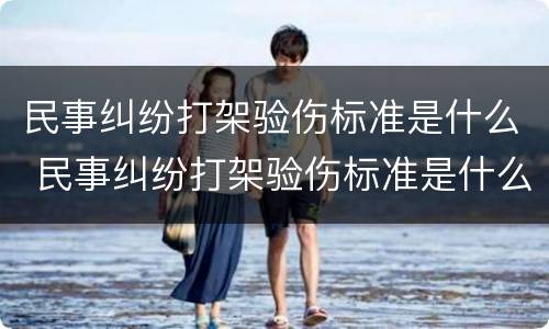 民事纠纷打架验伤标准是什么 民事纠纷打架验伤标准是什么呢