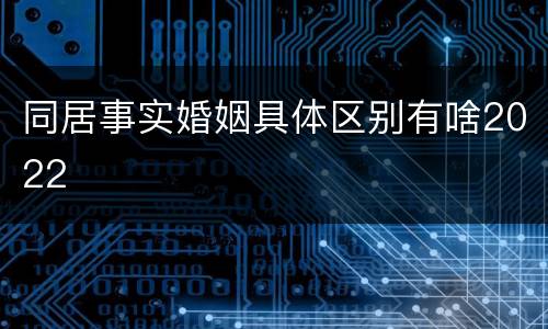 同居事实婚姻具体区别有啥2022