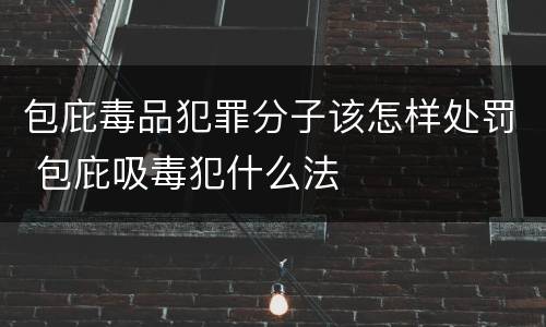 包庇毒品犯罪分子该怎样处罚 包庇吸毒犯什么法