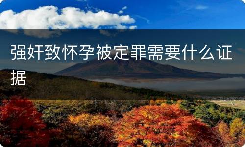 强奸致怀孕被定罪需要什么证据