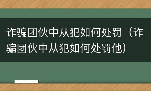 诈骗团伙中从犯如何处罚（诈骗团伙中从犯如何处罚他）