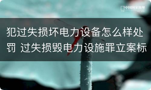 犯过失损坏电力设备怎么样处罚 过失损毁电力设施罪立案标准