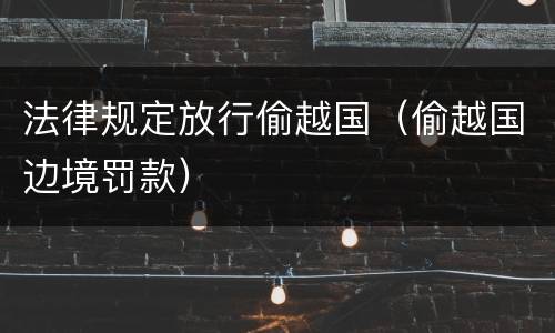 法律规定放行偷越国（偷越国边境罚款）
