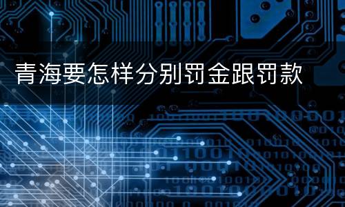 青海要怎样分别罚金跟罚款