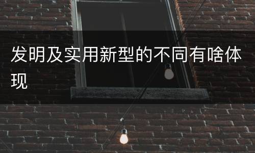 发明及实用新型的不同有啥体现