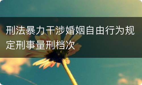 刑法暴力干涉婚姻自由行为规定刑事量刑档次