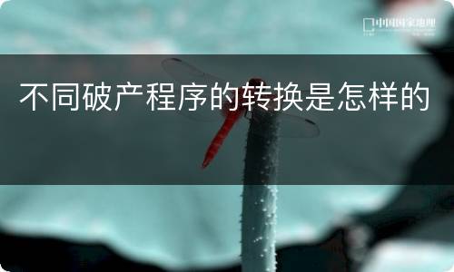 不同破产程序的转换是怎样的