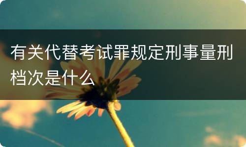 有关代替考试罪规定刑事量刑档次是什么