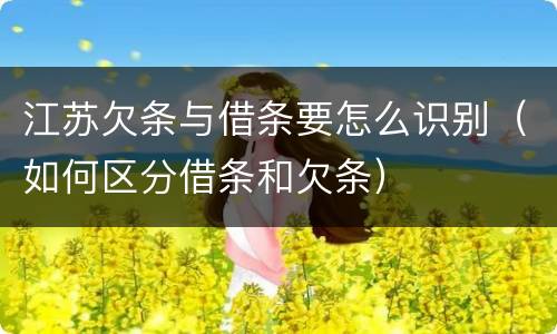 江苏欠条与借条要怎么识别（如何区分借条和欠条）