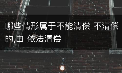 哪些情形属于不能清偿 不清偿的,由 依法清偿