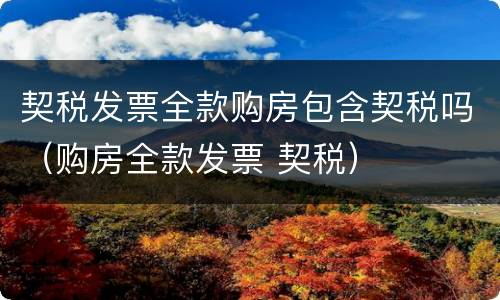 契税发票全款购房包含契税吗（购房全款发票 契税）