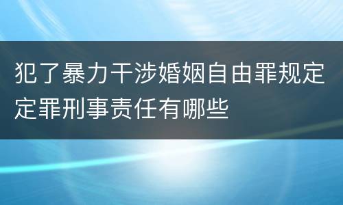 犯了暴力干涉婚姻自由罪规定定罪刑事责任有哪些