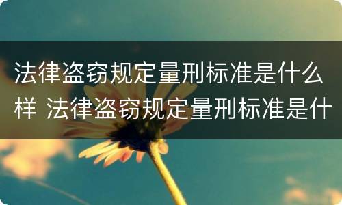 法律盗窃规定量刑标准是什么样 法律盗窃规定量刑标准是什么样的