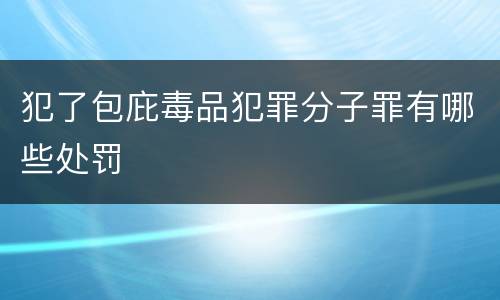 犯了包庇毒品犯罪分子罪有哪些处罚