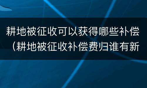 耕地被征收可以获得哪些补偿（耕地被征收补偿费归谁有新政策吗）