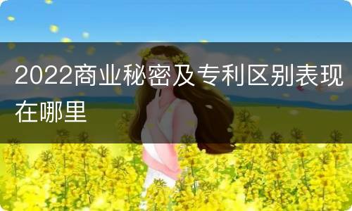 2022商业秘密及专利区别表现在哪里