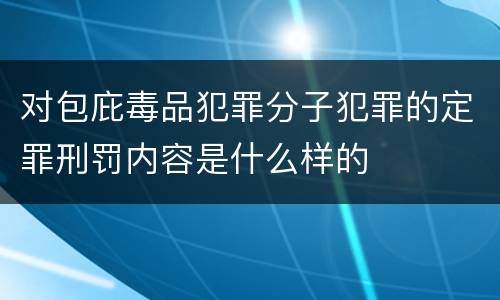 对包庇毒品犯罪分子犯罪的定罪刑罚内容是什么样的