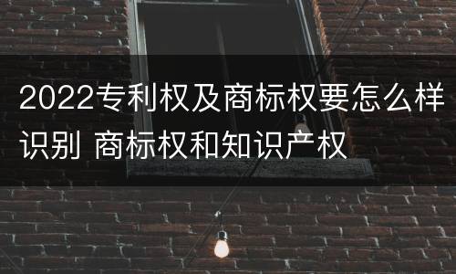 2022专利权及商标权要怎么样识别 商标权和知识产权