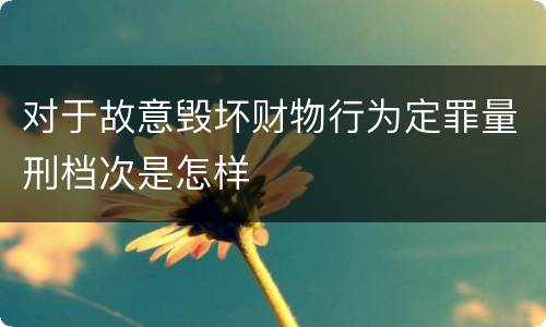 对于故意毁坏财物行为定罪量刑档次是怎样