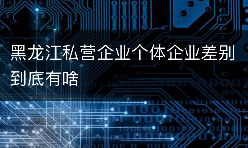 黑龙江私营企业个体企业差别到底有啥