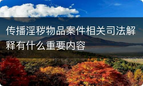 传播淫秽物品案件相关司法解释有什么重要内容