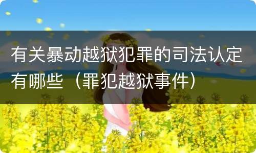 有关暴动越狱犯罪的司法认定有哪些（罪犯越狱事件）