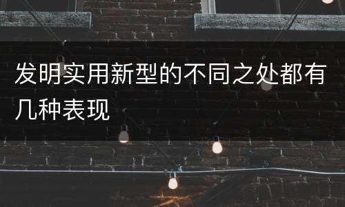 发明实用新型的不同之处都有几种表现