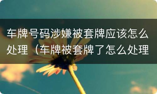 车牌号码涉嫌被套牌应该怎么处理（车牌被套牌了怎么处理）