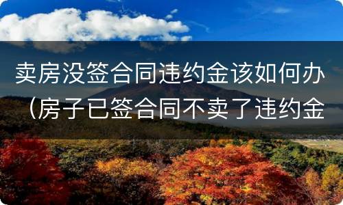 卖房没签合同违约金该如何办（房子已签合同不卖了违约金多少）