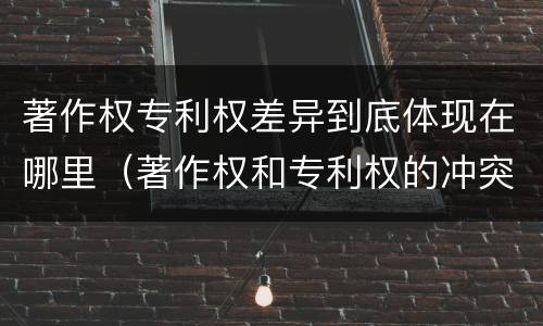 著作权专利权差异到底体现在哪里（著作权和专利权的冲突）