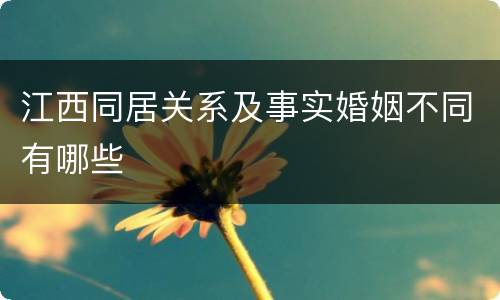 江西同居关系及事实婚姻不同有哪些