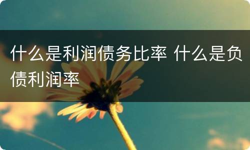 什么是利润债务比率 什么是负债利润率