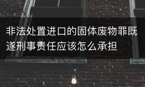 非法处置进口的固体废物罪既遂刑事责任应该怎么承担