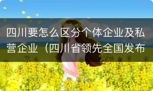 四川要怎么区分个体企业及私营企业（四川省领先全国发布了发展私营经济的地方性法规是什么）