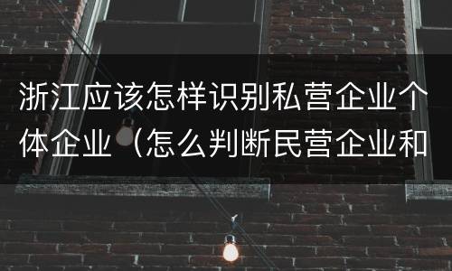 浙江应该怎样识别私营企业个体企业（怎么判断民营企业和私营企业）