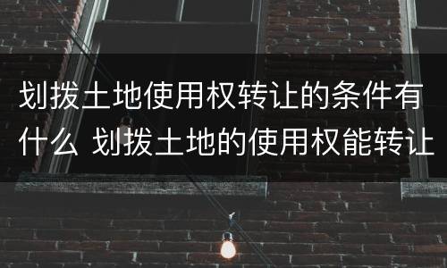 划拨土地使用权转让的条件有什么 划拨土地的使用权能转让吗