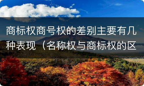 商标权商号权的差别主要有几种表现（名称权与商标权的区别）