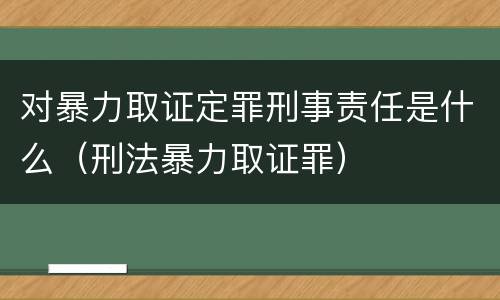 对暴力取证定罪刑事责任是什么（刑法暴力取证罪）