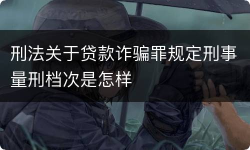 刑法关于贷款诈骗罪规定刑事量刑档次是怎样