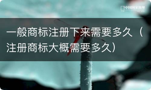 一般商标注册下来需要多久（注册商标大概需要多久）