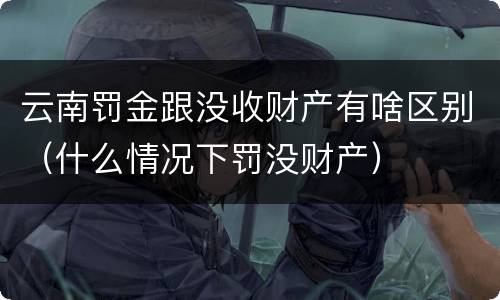 云南罚金跟没收财产有啥区别（什么情况下罚没财产）