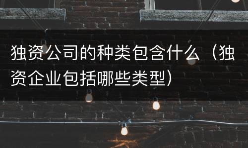 独资公司的种类包含什么（独资企业包括哪些类型）