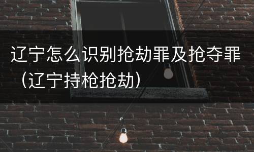 辽宁怎么识别抢劫罪及抢夺罪（辽宁持枪抢劫）