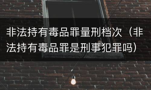 非法持有毒品罪量刑档次（非法持有毒品罪是刑事犯罪吗）