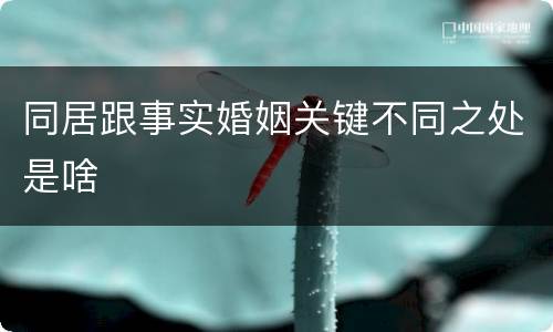 同居跟事实婚姻关键不同之处是啥