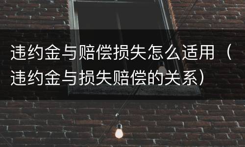违约金与赔偿损失怎么适用（违约金与损失赔偿的关系）